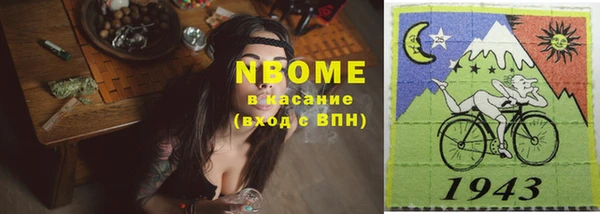 гашик Горняк