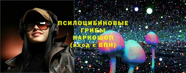 кристаллы Гусев