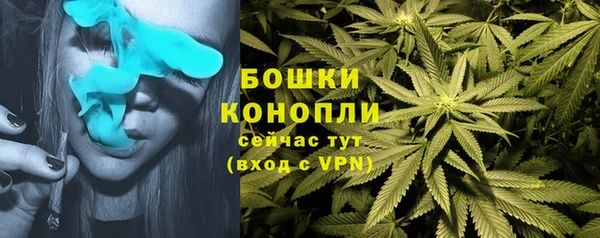 гашик Володарск
