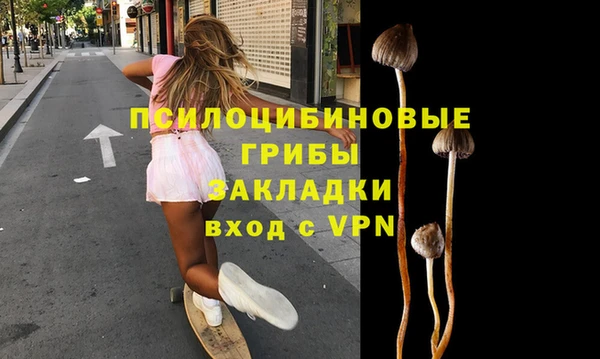 экстази Вяземский
