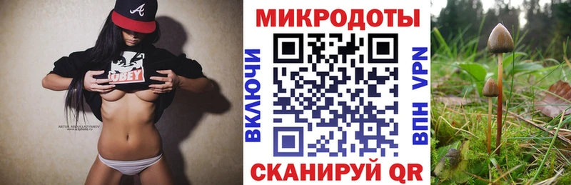 Псилоцибиновые грибы Cubensis  Купить  Кировград 